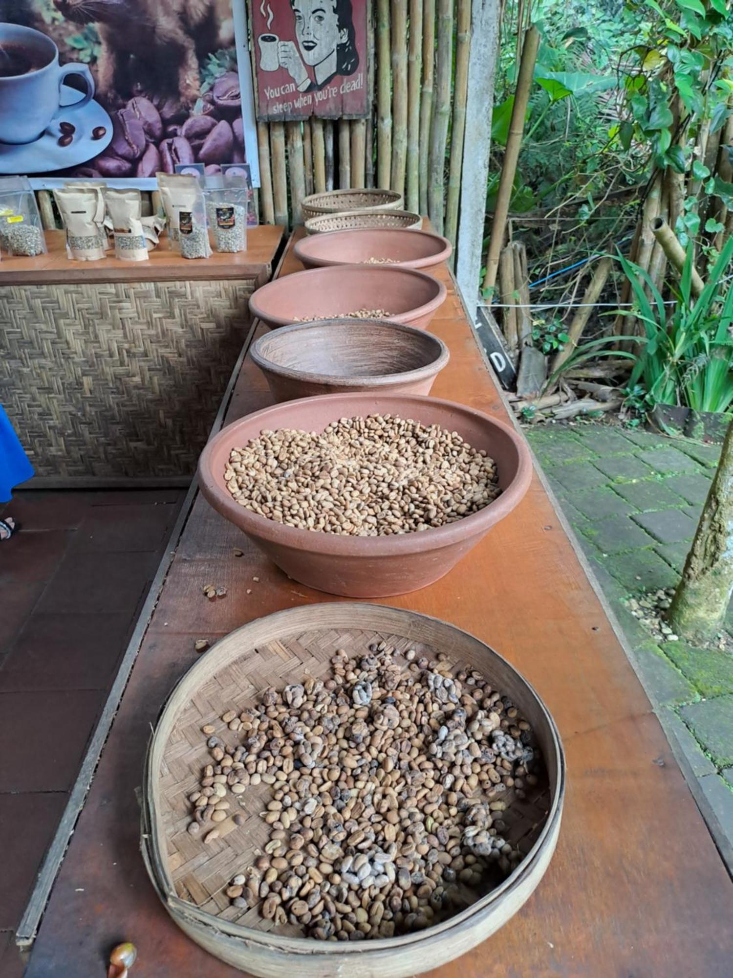 Kubu Pilatus - Family House Lombok Βίλα Tjakranegara Εξωτερικό φωτογραφία